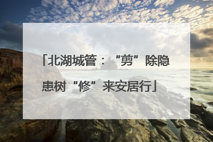 北湖城管：“剪”除隐患树“修”来安居行