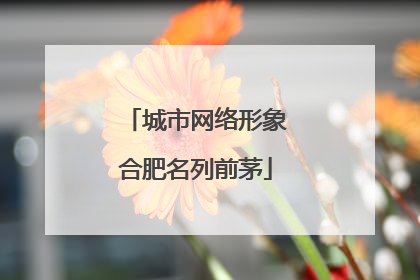 城市网络形象合肥名列前茅