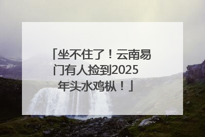 坐不住了！云南易门有人捡到2025年头水鸡枞！