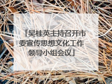 吴桂英主持召开市委宣传思想文化工作领导小组会议