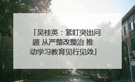 吴桂英：紧盯突出问题 从严整改整治 推动学习教育见行见效