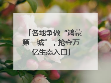 各地争做“鸿蒙第一城”，抢夺万亿生态入口