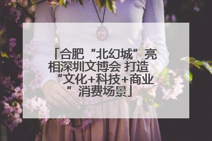 合肥“北幻城”亮相深圳文博会 打造“文化+科技+商业”消费场景