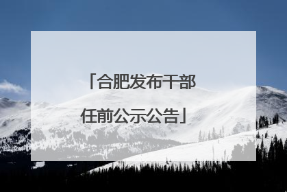 合肥发布干部任前公示公告