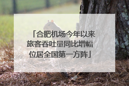 合肥机场今年以来旅客吞吐量同比增幅位居全国第一方阵
