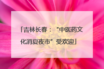 吉林长春：“中医药文化消夏夜市”受欢迎