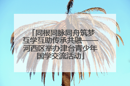 同根同脉同舟筑梦 互学互助传承共融——河西区举办津台青少年国学交流活动