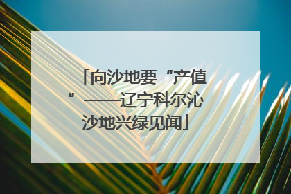 向沙地要“产值”——辽宁科尔沁沙地兴绿见闻
