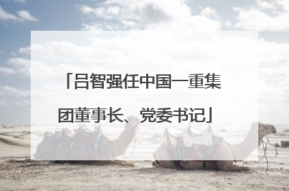 吕智强任中国一重集团董事长、党委书记