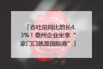 吞吐量同比增长4.3%！泰州企业坐享“家门口就是国际港”