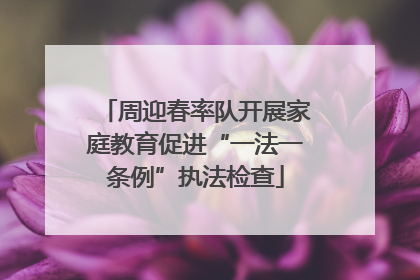 周迎春率队开展家庭教育促进“一法一条例”执法检查