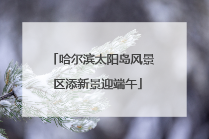 哈尔滨太阳岛风景区添新景迎端午