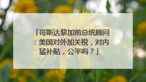 哥斯达黎加前总统顾问：美国对外加关税，对内猛补贴，公平吗？