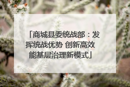 商城县委统战部：发挥统战优势 创新高效能基层治理新模式