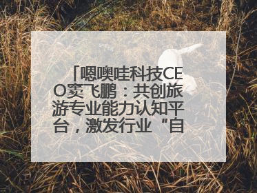 嗯噢哇科技CEO窦飞鹏：共创旅游专业能力认知平台，激发行业“自生长”力量