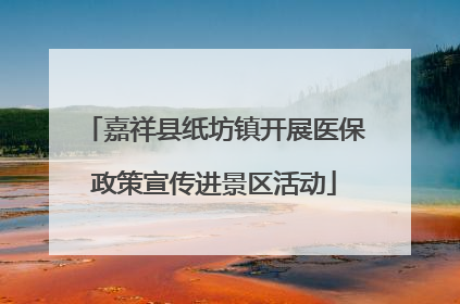 嘉祥县纸坊镇开展医保政策宣传进景区活动