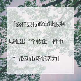 嘉祥县行政审批服务局推出“个转企一件事”带动市场新活力