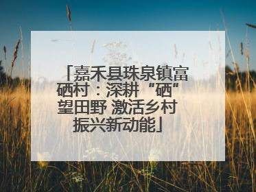 嘉禾县珠泉镇富硒村：深耕“硒”望田野 激活乡村振兴新动能