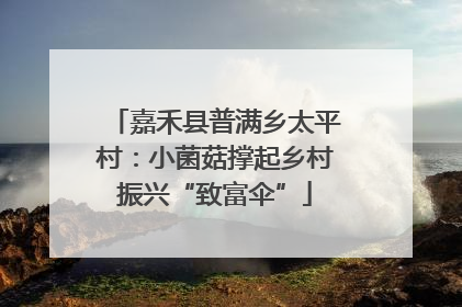 嘉禾县普满乡太平村：小菌菇撑起乡村振兴“致富伞”