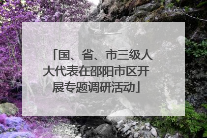 国、省、市三级人大代表在邵阳市区开展专题调研活动