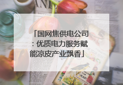 国网焦供电公司：优质电力服务赋能凉皮产业飘香