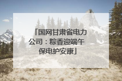 国网甘肃省电力公司：粽香迎端午 保电护安康