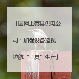 国网上蔡县供电公司：加强设备巡视 护航“三夏”生产