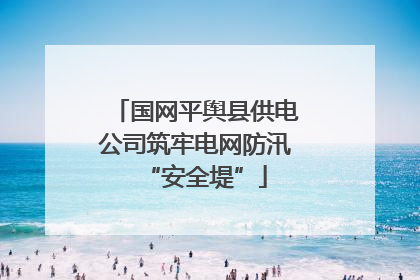 国网平舆县供电公司筑牢电网防汛“安全堤”