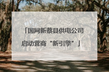 国网新蔡县供电公司启动营商“新引擎”