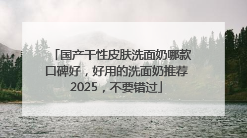 国产干性皮肤洗面奶哪款口碑好，好用的洗面奶推荐2025，不要错过