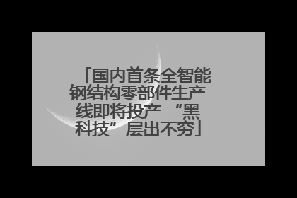 国内首条全智能钢结构零部件生产线即将投产 “黑科技”层出不穷