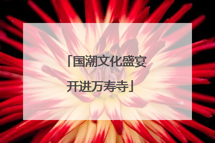 国潮文化盛宴开进万寿寺