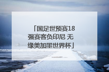 国足世预赛18强赛客负印尼 无缘美加墨世界杯