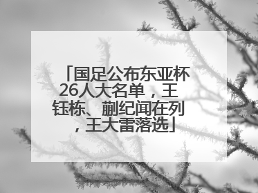 国足公布东亚杯26人大名单，王钰栋、蒯纪闻在列，王大雷落选