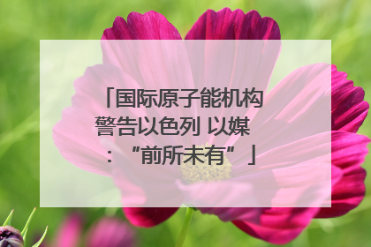 国际原子能机构警告以色列 以媒：“前所未有”