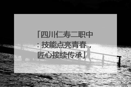 四川仁寿二职中：技能点亮青春，匠心接续传承