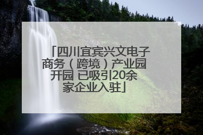 四川宜宾兴文电子商务（跨境）产业园开园 已吸引20余家企业入驻