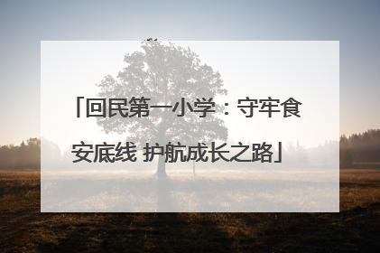 回民第一小学：守牢食安底线 护航成长之路