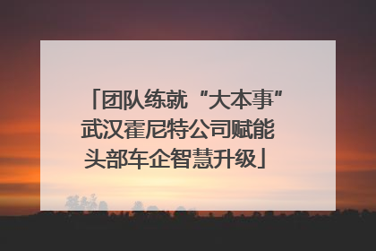 团队练就“大本事” 武汉霍尼特公司赋能头部车企智慧升级