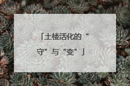 土楼活化的“守”与“变”