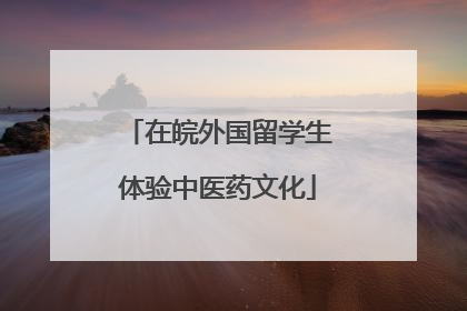 在皖外国留学生体验中医药文化