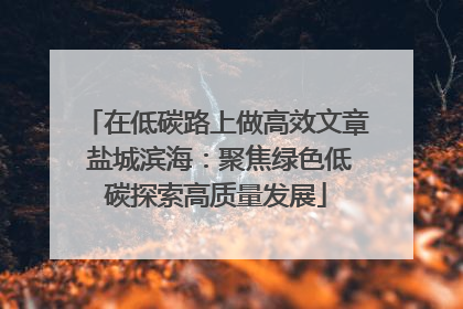 在低碳路上做高效文章 盐城滨海：聚焦绿色低碳探索高质量发展