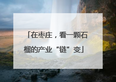 在枣庄，看一颗石榴的产业“链”变