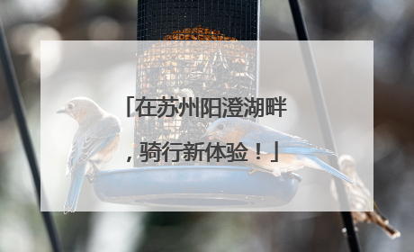 在苏州阳澄湖畔，骑行新体验！