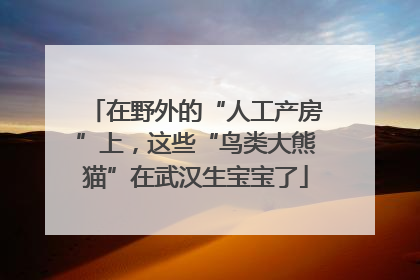 在野外的“人工产房”上，这些“鸟类大熊猫”在武汉生宝宝了