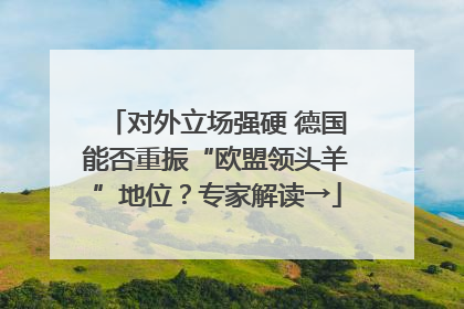 对外立场强硬 德国能否重振“欧盟领头羊”地位？专家解读→