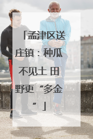 孟津区送庄镇：种瓜不见土 田野更“多金”
