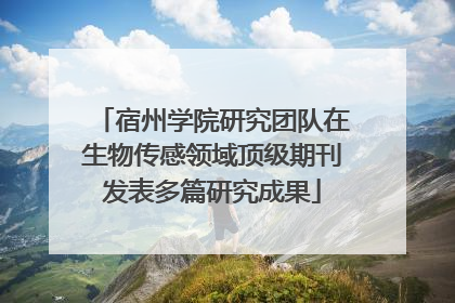 宿州学院研究团队在生物传感领域顶级期刊发表多篇研究成果