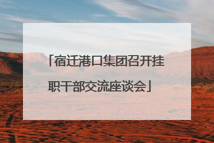 宿迁港口集团召开挂职干部交流座谈会