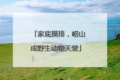 家底摸排，崂山成野生动物天堂